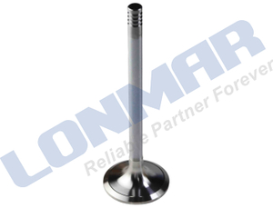 L68.7746 87802258 87802266 Engine Valve used for Ford New Holland 1089 1095 2450 2550 3230 3430 345C 345D 3930