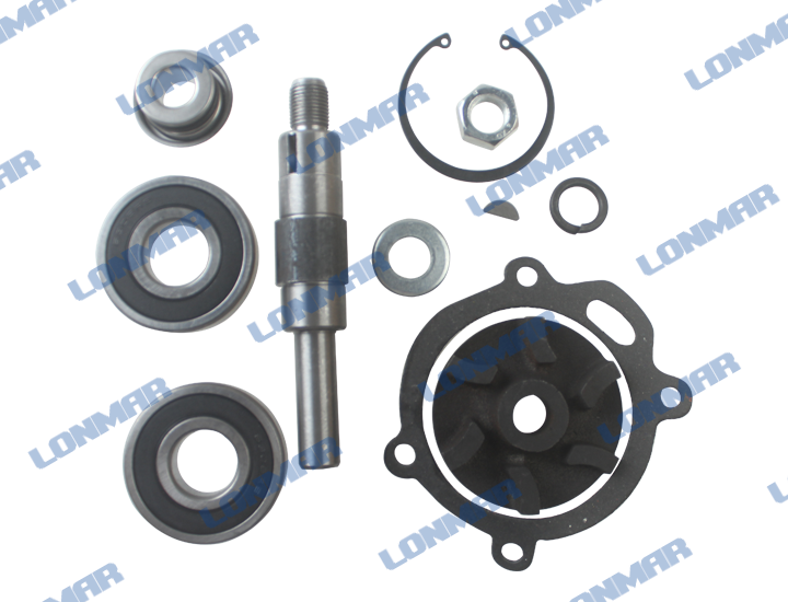 Water Pump Repair Kit Massey Ferguson Parts for Sale