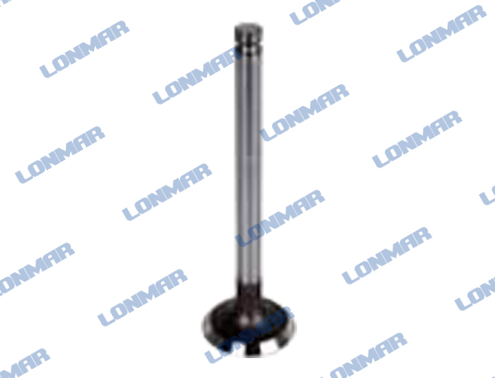 L68.1863 Massey Ferguson Engine Valve