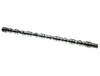 3049024 L68.4836 Cummins Camshaft