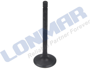 1C020-13112 L68.4033 Kubota Engine Valve