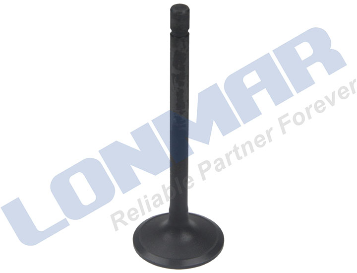 1C020-13112 L68.4033 Kubota Engine Valve