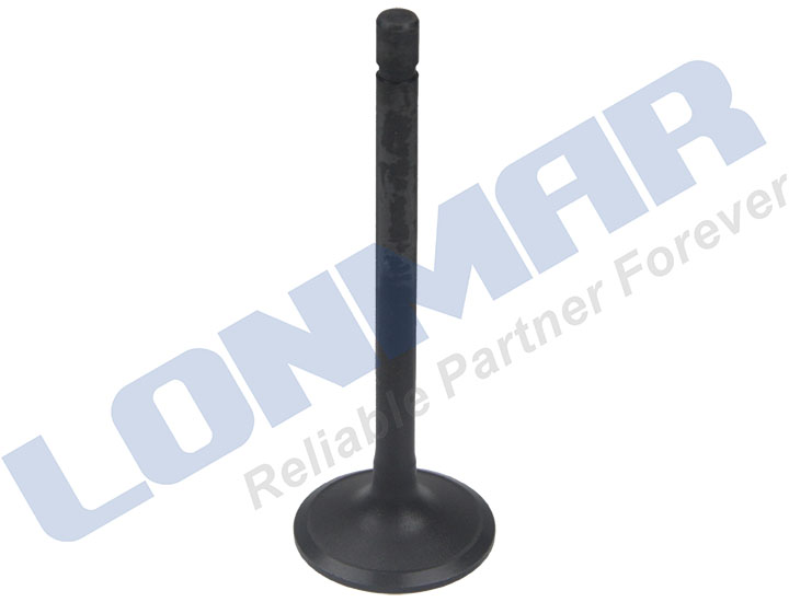 1C020-13112 L68.4033 Kubota Engine Valve