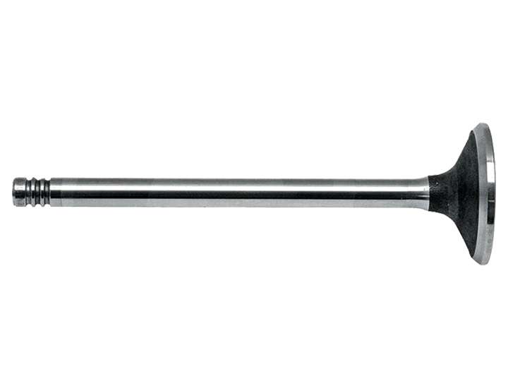 4209111 L68.5027 Deutz Engine Valve