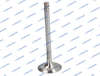 4124018 L68.5022 Deutz Engine Valve