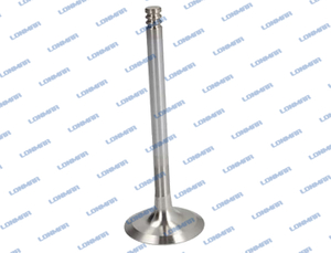 4124018 L68.5022 Deutz Engine Valve