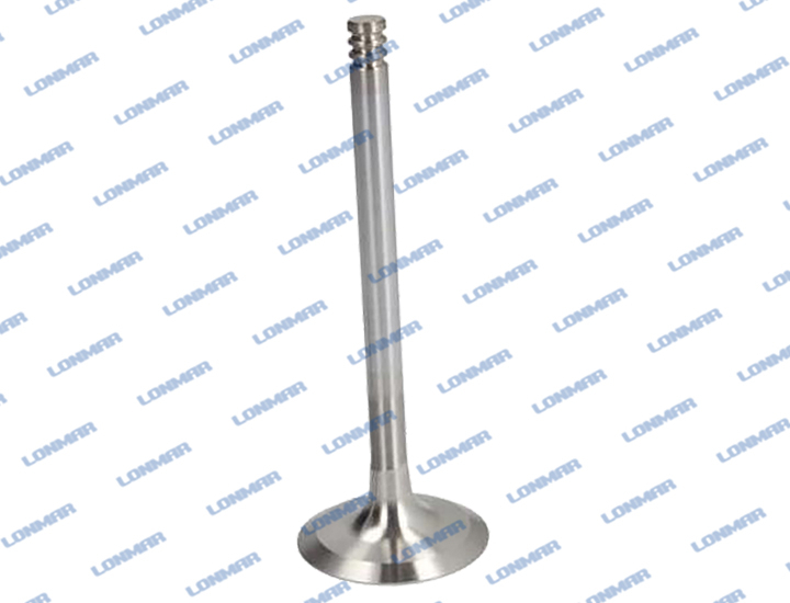4124018 L68.5022 Deutz Engine Valve