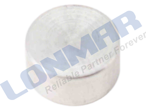 L68.8394 922903270064E Core Plug used for MWM Tractor 229