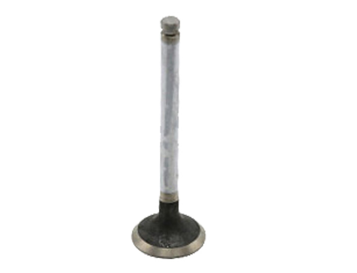 Landini Tractor Parts Engine Valve China Wholesale