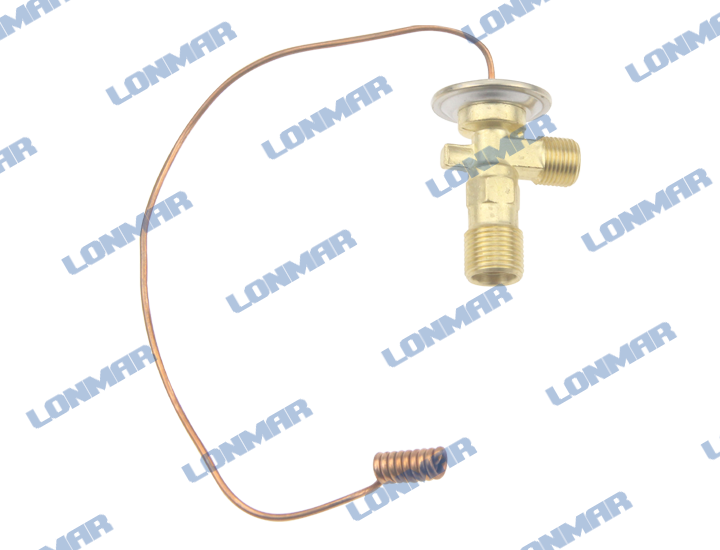Massey Ferguson Expansion Valve