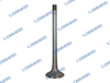 L68.2054 Deutz Engine Valve FL912 FL913