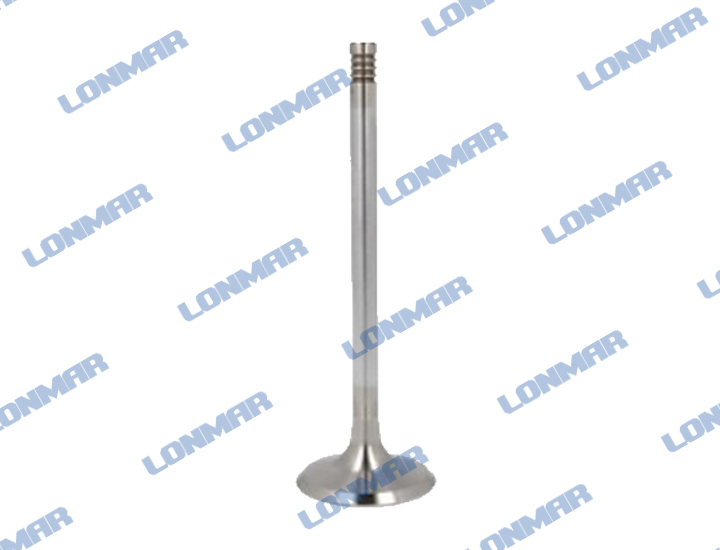 L68.2051 Deutz Engine Valve 1012E