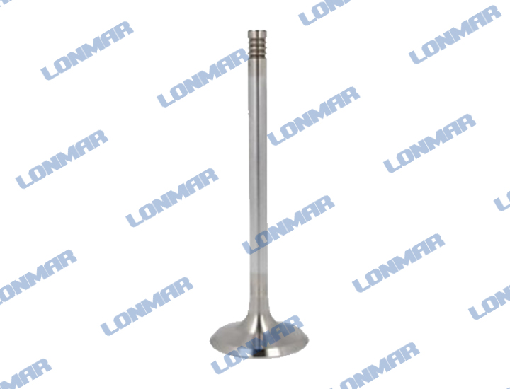 L68.2051 Deutz Engine Valve 1012E