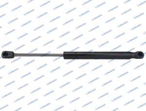 L77.0945 Fendt Gas Spring