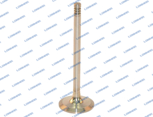 4291386 L68.5016 Deutz-Fahr Engine Valve