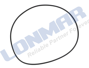 L72.3685 4358444M1 Seal Ring Used for Massey Ferguson 4707 4708 4709 4710 5410 5420 5430 5440 5450