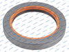 3019953X1 L98.0635 Massey Ferguson Oil Seal