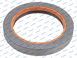 3019953X1 L98.0635 Massey Ferguson Oil Seal