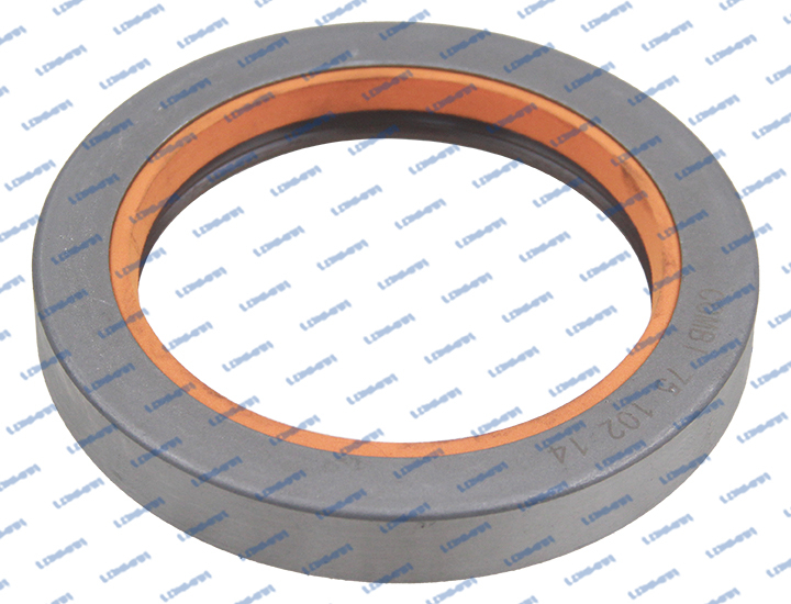 3019953X1 L98.0635 Massey Ferguson Oil Seal