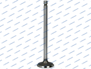 3802967 L68.4958 Cummins Engine Valve
