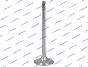 4153455 L68.5015 Deutz Engine Valve