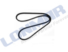 L70.1177 3712531M1 Belt used for Massey Ferguson Tractor 3075,3125,3645,3655,3670,3690,6140,6150
