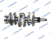 Fiat Tractor Crankshaft IVECO Engine