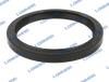 Massey Ferguson Oil Seal Valtra