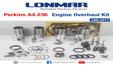 Engine Overhaul Kit-68.3317_副本.jpg