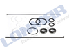55355C91 Seal Ring Repair Kit Suitable for Case IH 584,585,595,674