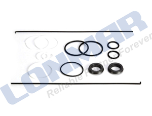 55355C91 Seal Ring Repair Kit Suitable for Case IH 584,585,595,674