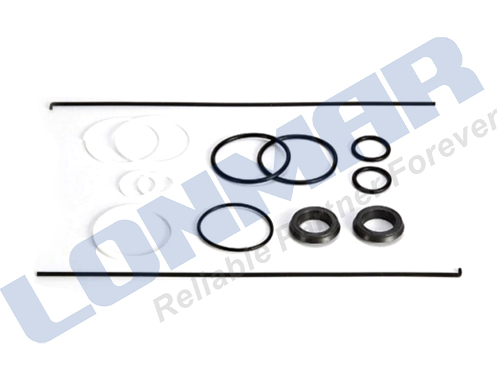 55355C91 Seal Ring Repair Kit Suitable for Case IH 584,585,595,674