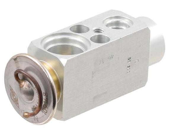 04419569 Expansion Valve Fits for Deutz-Fahr tractor parts