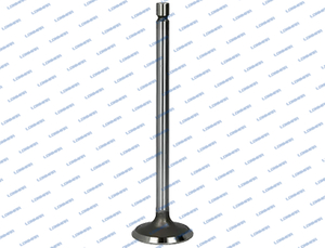 3802924 L68.4959 Cummins Engine Valve