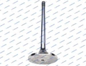 0.007.1146.0/10 L68.5029 Deutz-Fahr Engine Valve