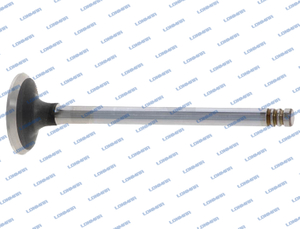 4284043 L68.5024 Deutz Engine Valve